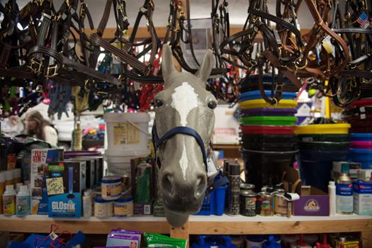 equestrian tack shop