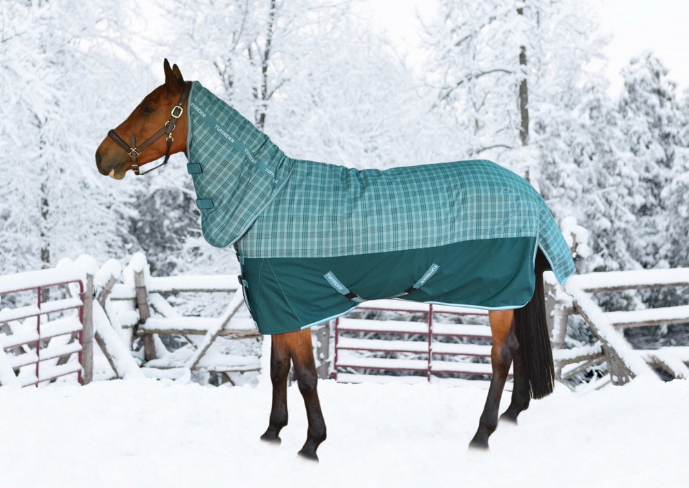 how-to-measure-your-horse-for-a-blanket-sheet-toll-booth-saddle-shop