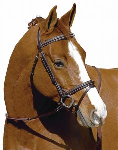 How to assemble an english bridle